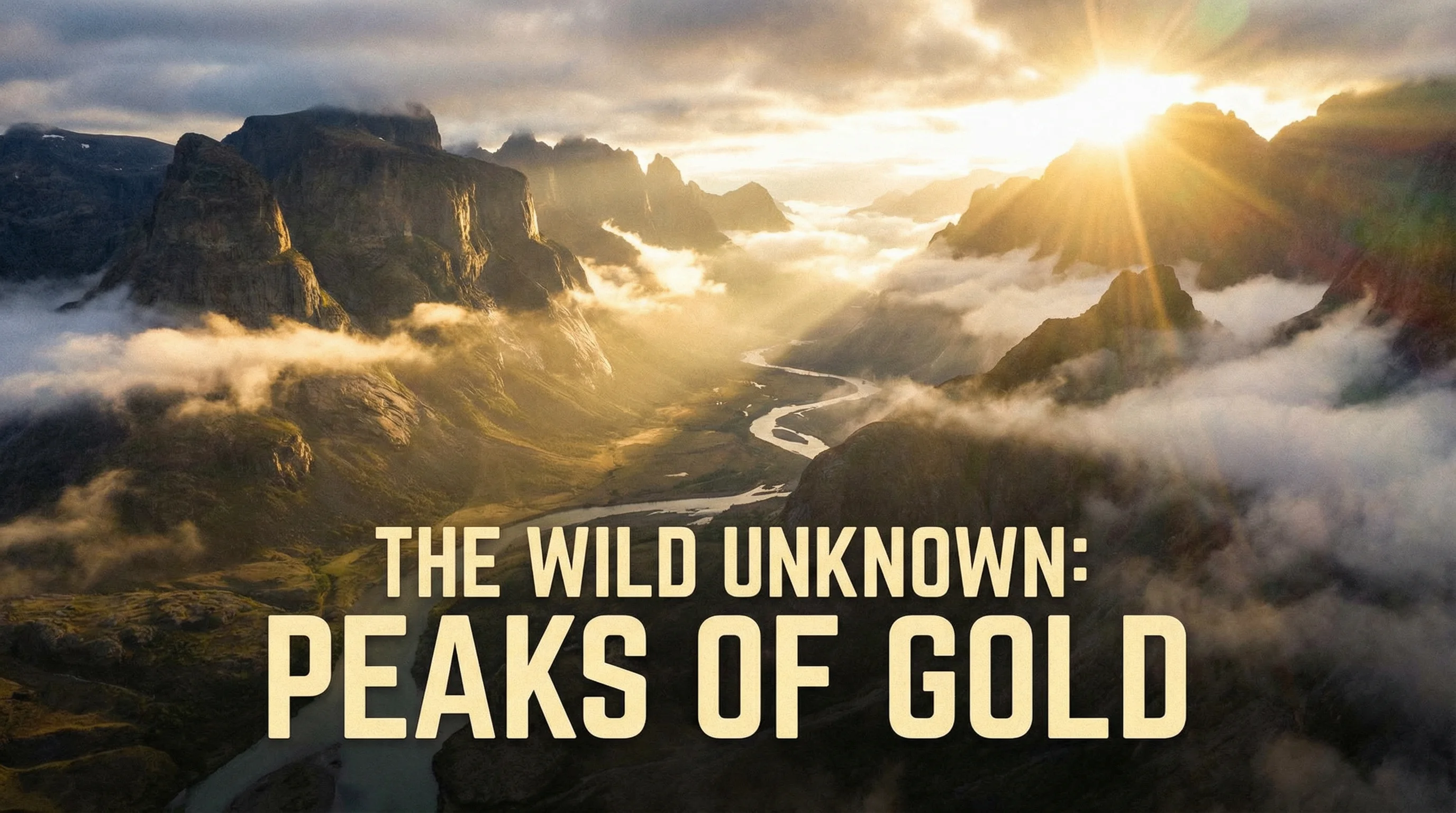 四虎自然纪录片